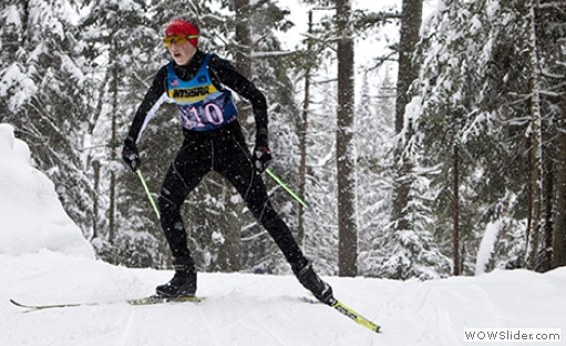 Buzz-cross ski 2