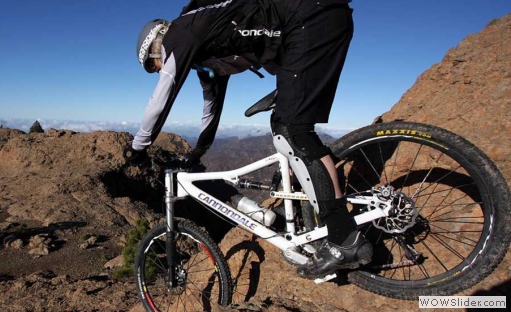 Buzz-Moutain biker2